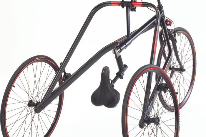 Biko Adaptive Tricycle