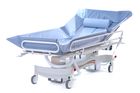 Electric Shower Trolley
