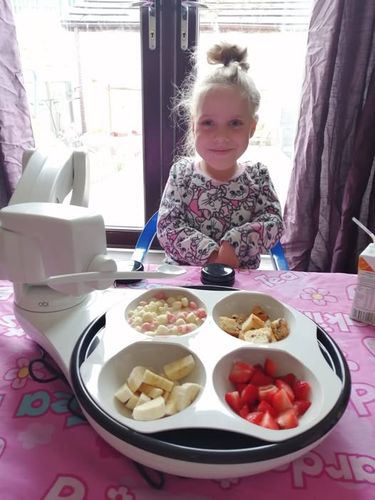 Obi dining companion - eating with dignity