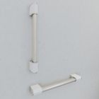 Onyx 2 Grab Rails