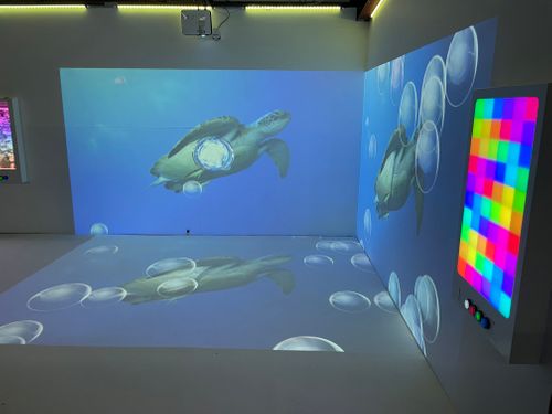 Sensory Rooms