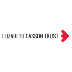 Celebrating the past, inspiring the future: the Elizabeth Casson Trust Feature Zone returns