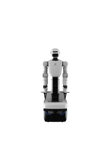 Wheeled Dual-Arm Humanoid Robot