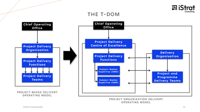 Project & Programme Organisation Target Delivery Operating Model (T-DOM)