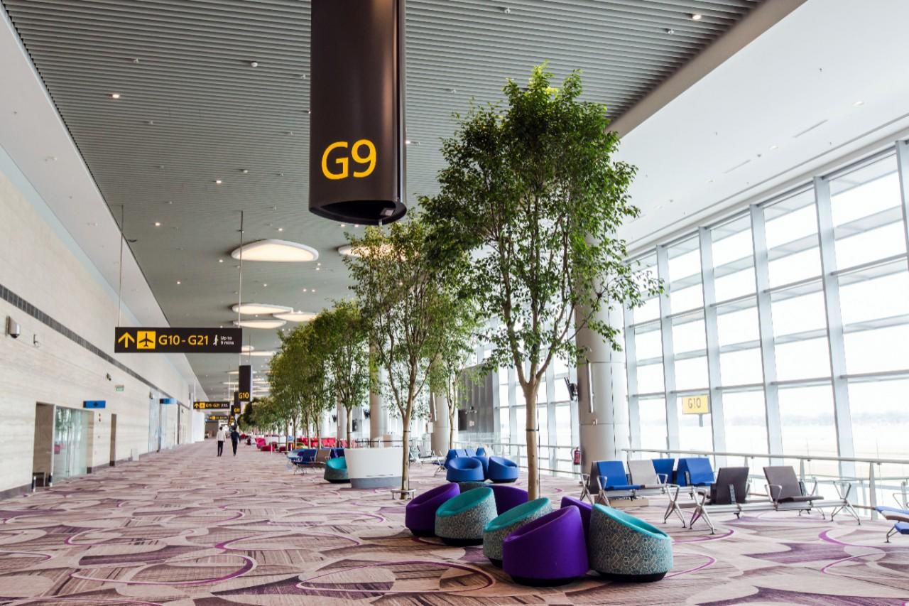 Travel Singapore Vet 2021