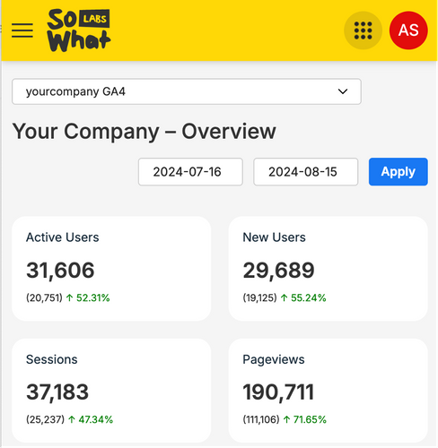 So What Labs - Web Analyst