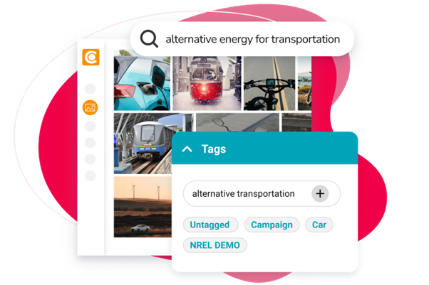 Unlock Your Content's Potential with Canto's DAM Platform