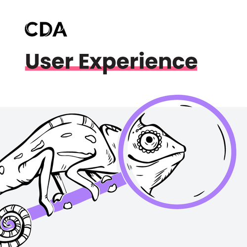 User Experience