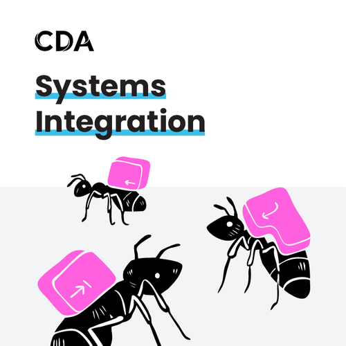 Systems Integration