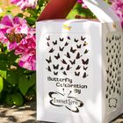 Butterfly Celebration Release Box