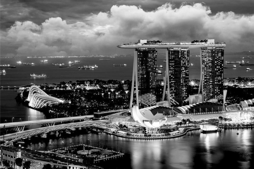 Singapore Vet