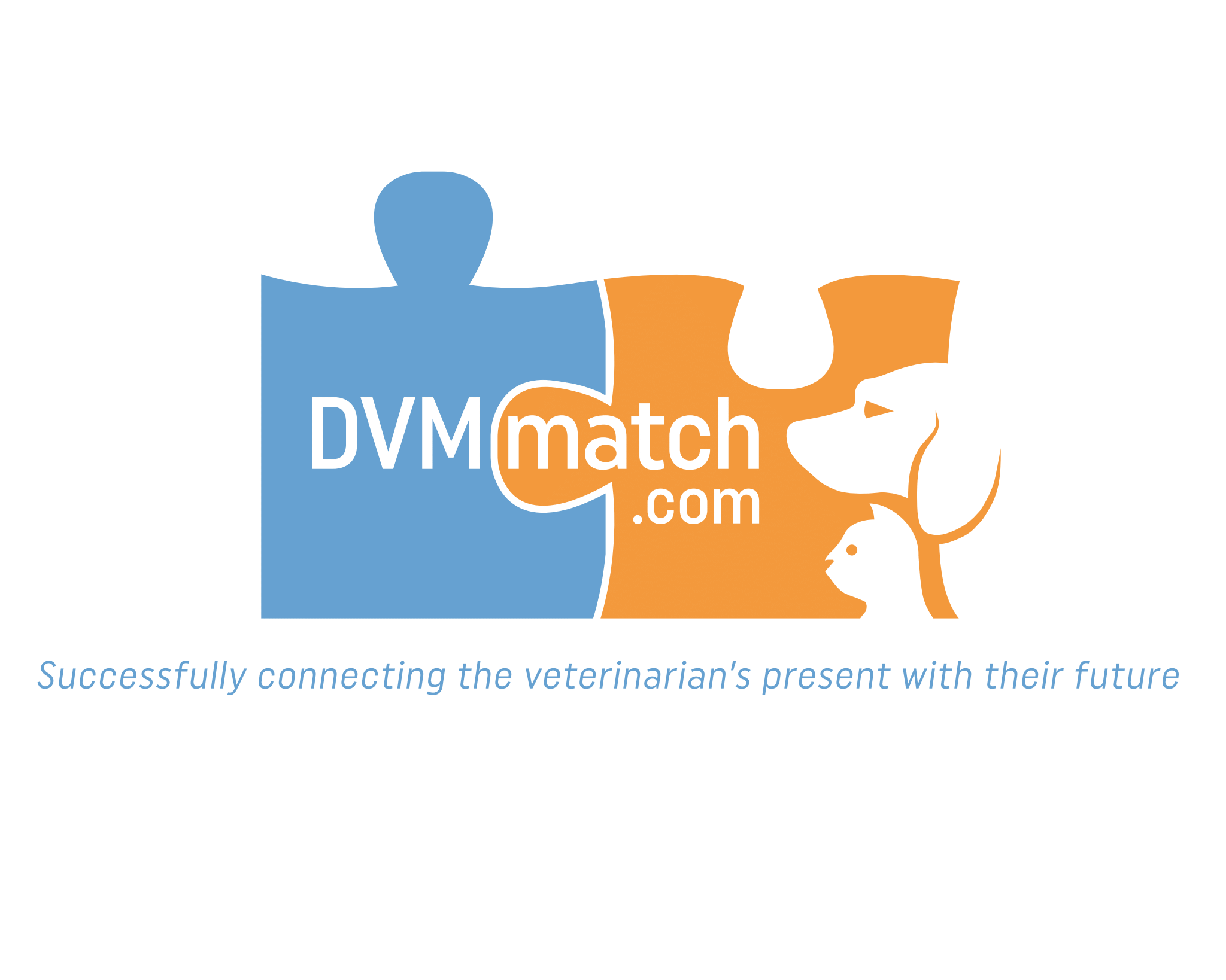 DVM Match
