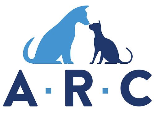 ARC Real Estate Group