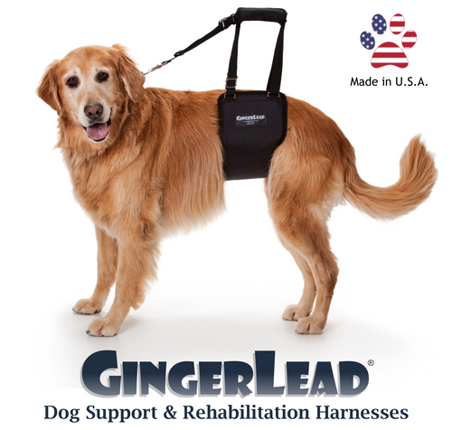 GingerLead