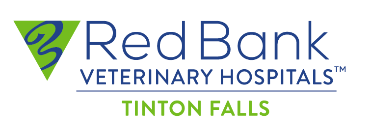 Red Bank Veterinary Hospitals - Tinton Falls