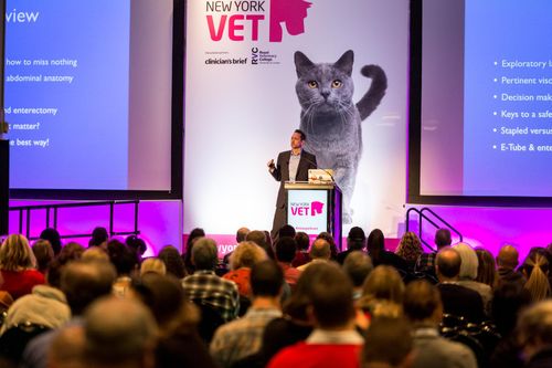 Veterinary Practice Expension Sessions Announced at New York Vet