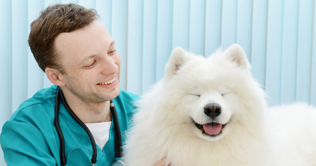 Celebrating World Veterinary Day: A Love Letter to the Profession