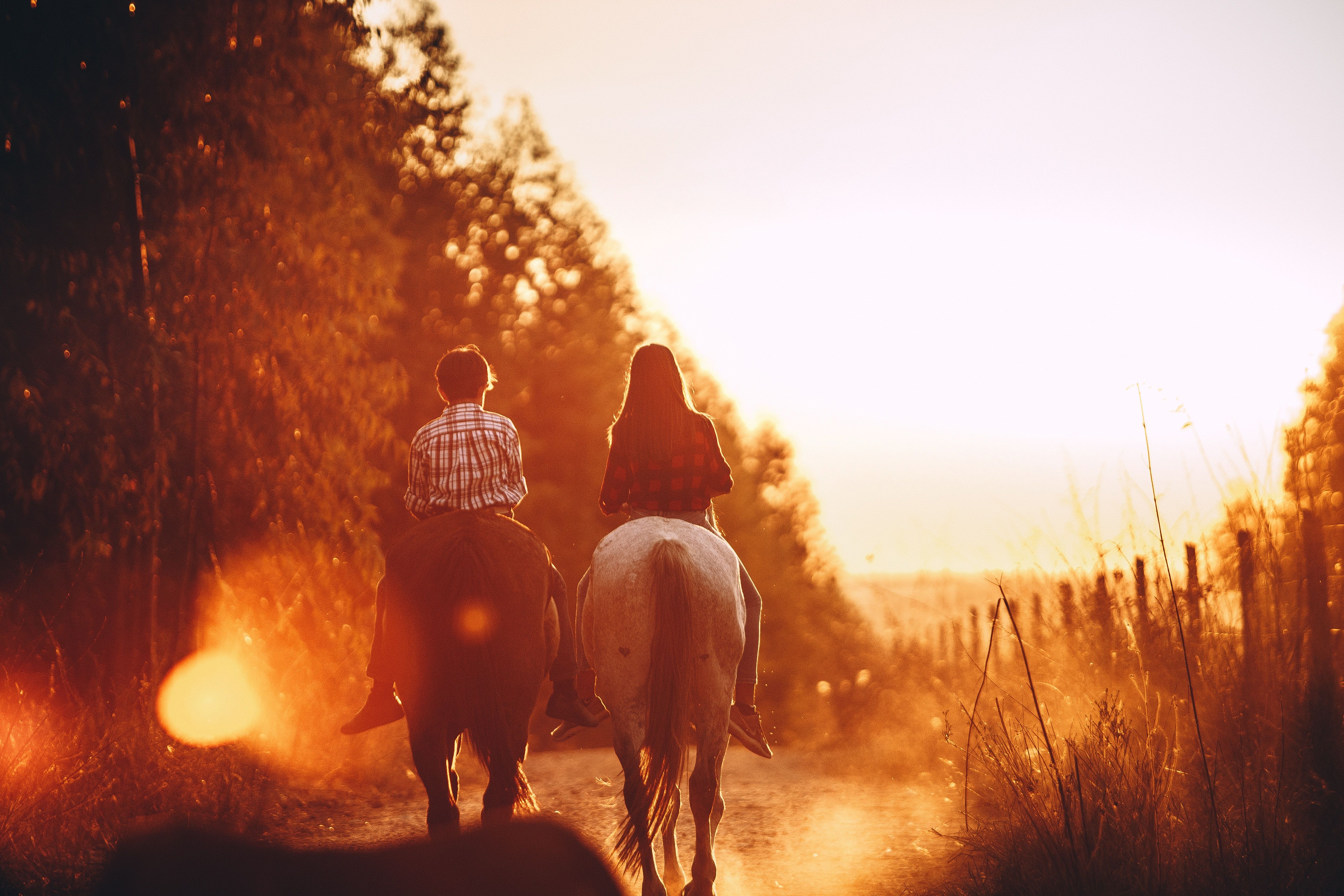 Horseback Riding