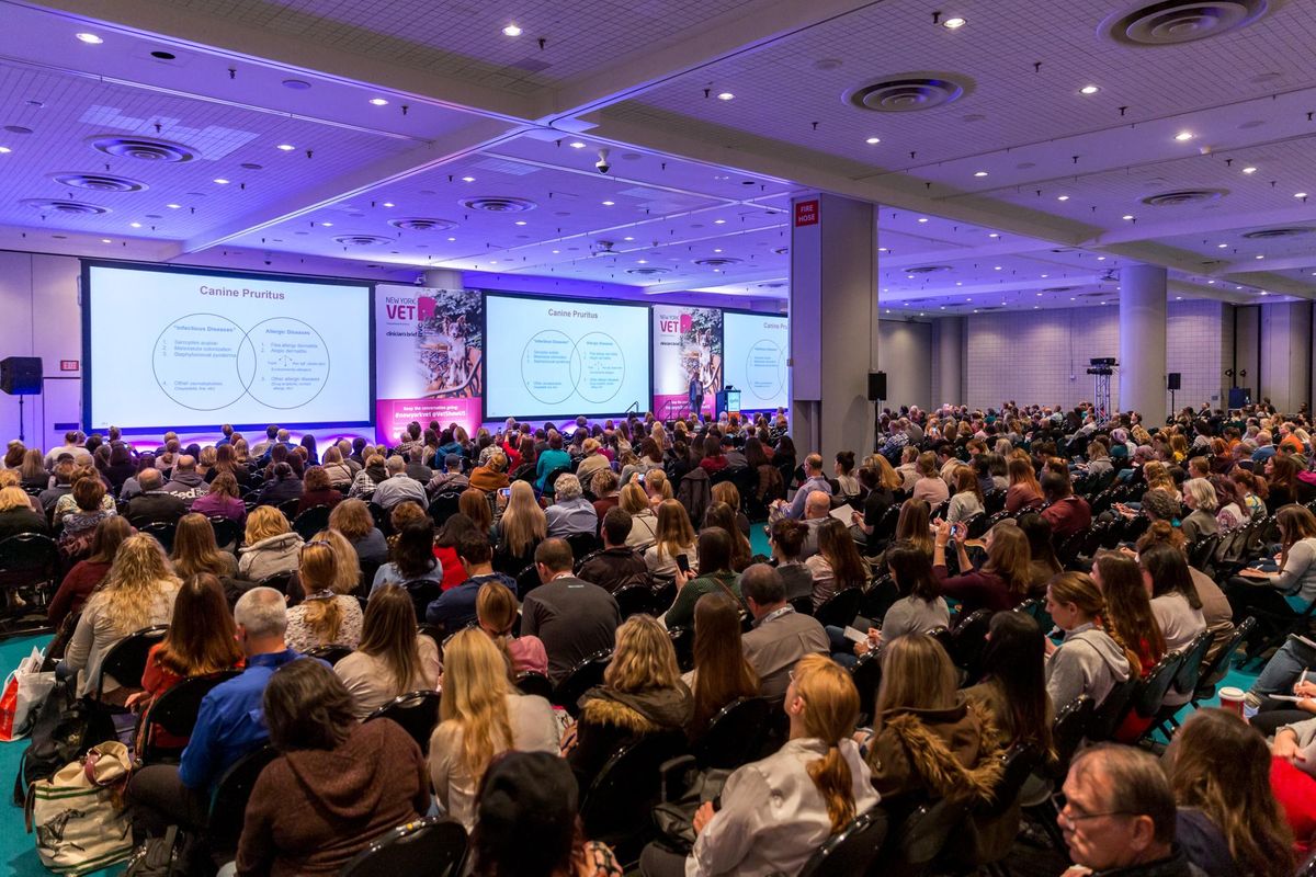 Veterinary CE event New York Vet celebrates successful third year - Vet