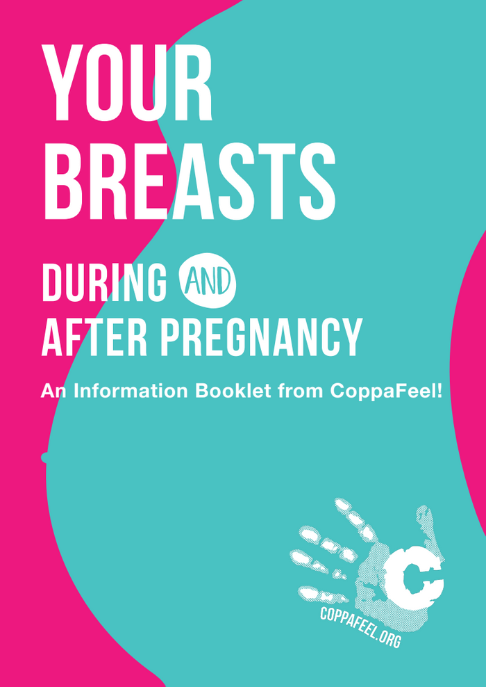 Pregnancy Booklet