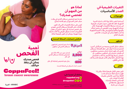 Translated checking leaflets