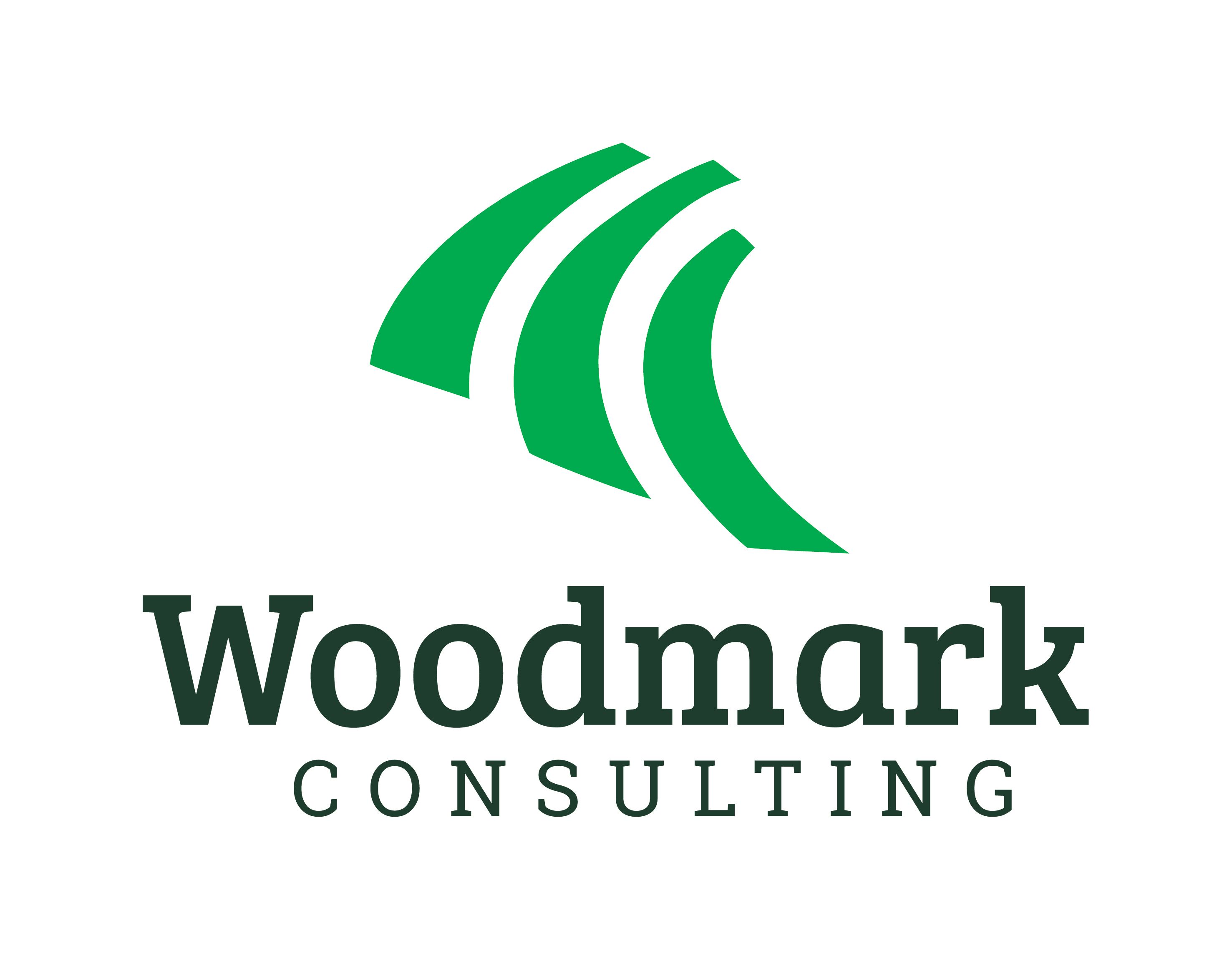 Woodmark Consulting AG