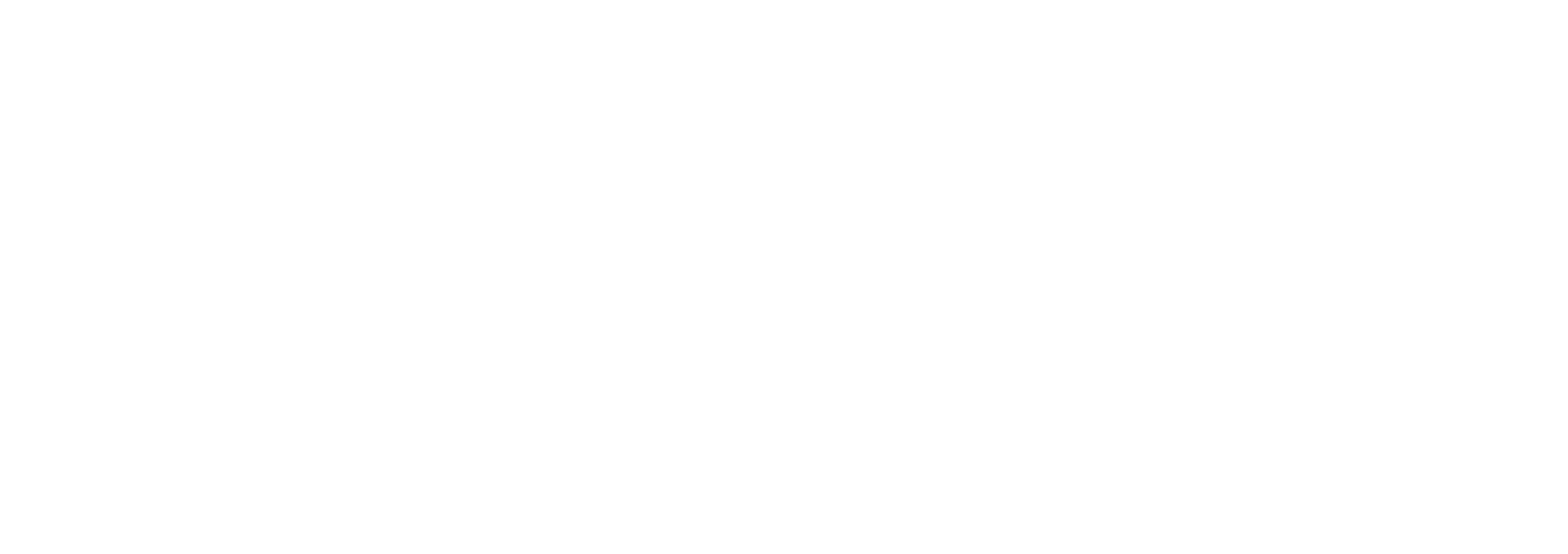 Best Practice London Logo (White)