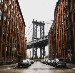New York Vet