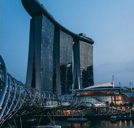 Singapore Vet Show