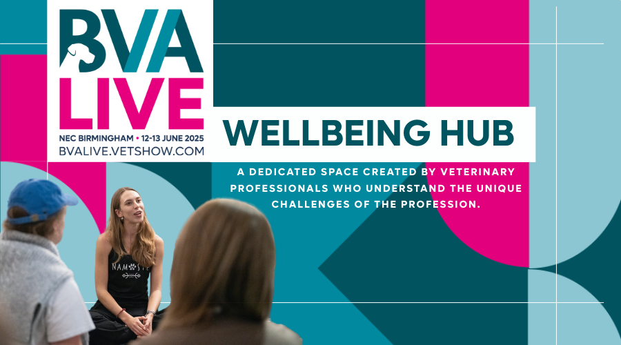 Header Image - BVA Wellbeing Hub