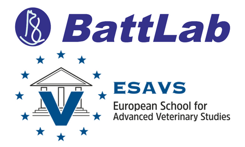 Battlab/ESAVS