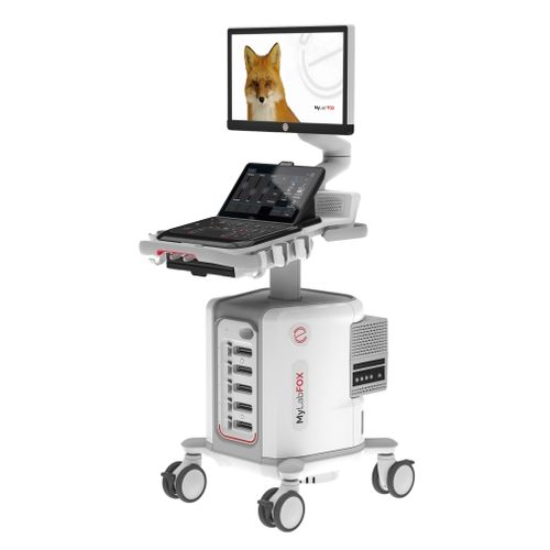 Esaote Introduces MyLab™FOX: Versatile Ultrasound Solution for Veterinary Diagnostics
