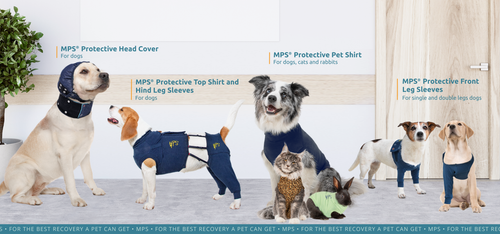 Experience the renewed MPS® brand at BVA Vet Show – Booth #E65