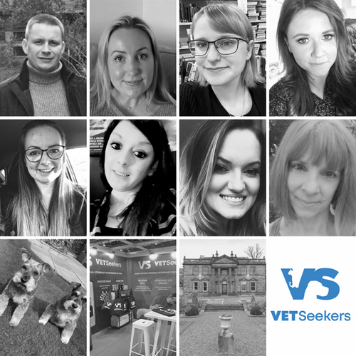 A specialist multi-award-winning veterinary recruitment business