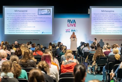 BVA Live 2024 – considering contextualised care