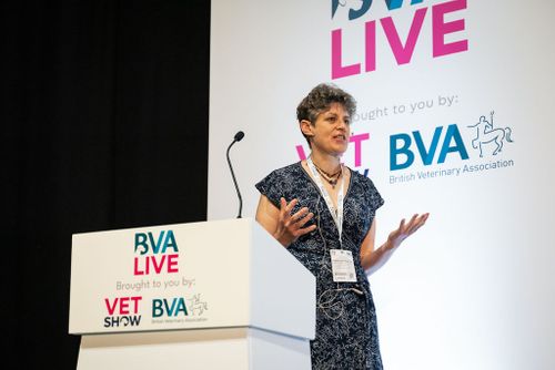 Attendance at BVA Live increases by 20% in second year