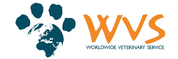 wvs logo