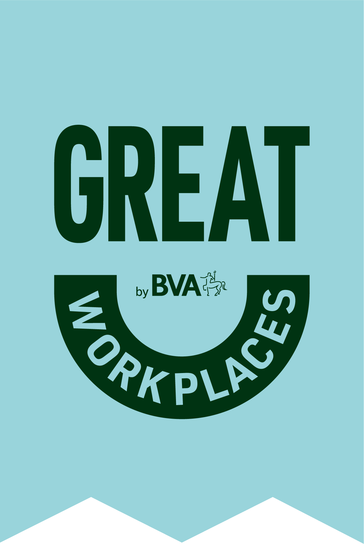 BVA great workplace