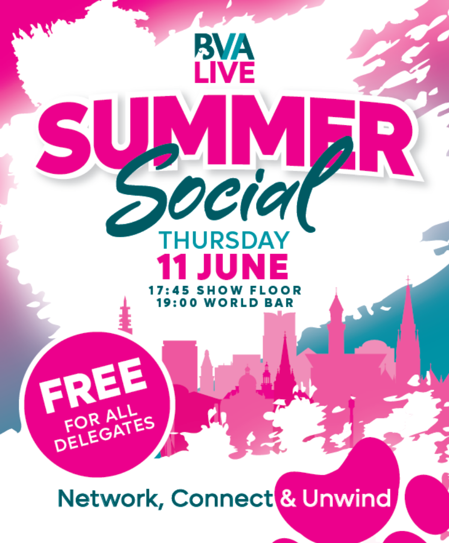 summer social