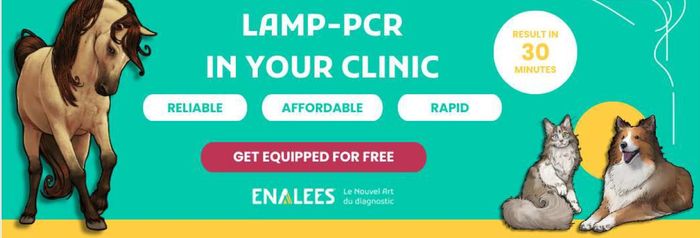 Free Installation - Unleash your diagnostic potential