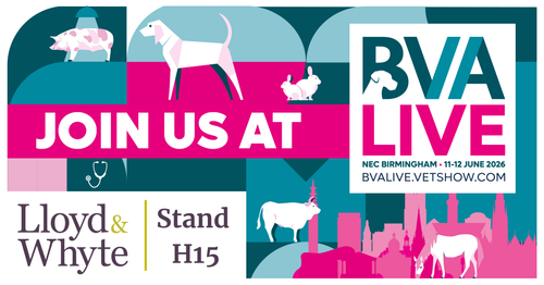 Free specialist insurance advice at BVA Live