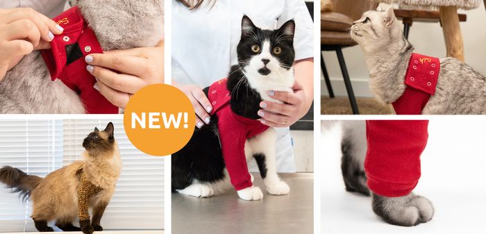 Medical Pet Shirts Introduces the New Protective Front Leg Single Sleeve for Cats