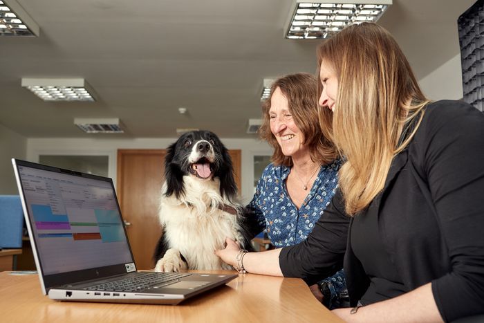 VetIT to showcase flexible practice management at BVA Live
