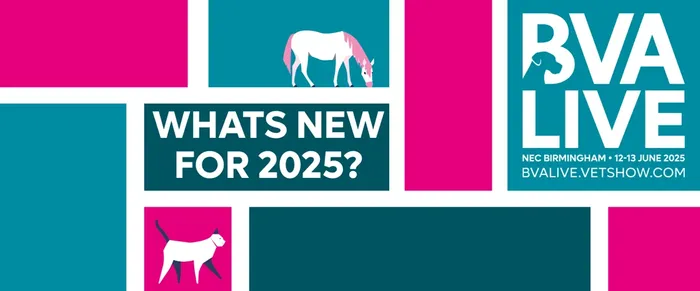 From clinical content to career growth - it’s all happening at BVA Live 2025