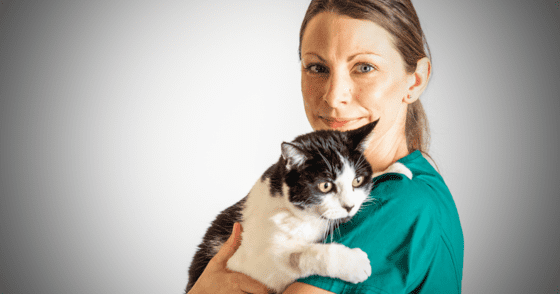 In this interview, Katherine Clarke, ECVIM Internal Medicine Specialist at Davies Veterinary Specialists, reflects on how her confidence and clinical approach have evolved