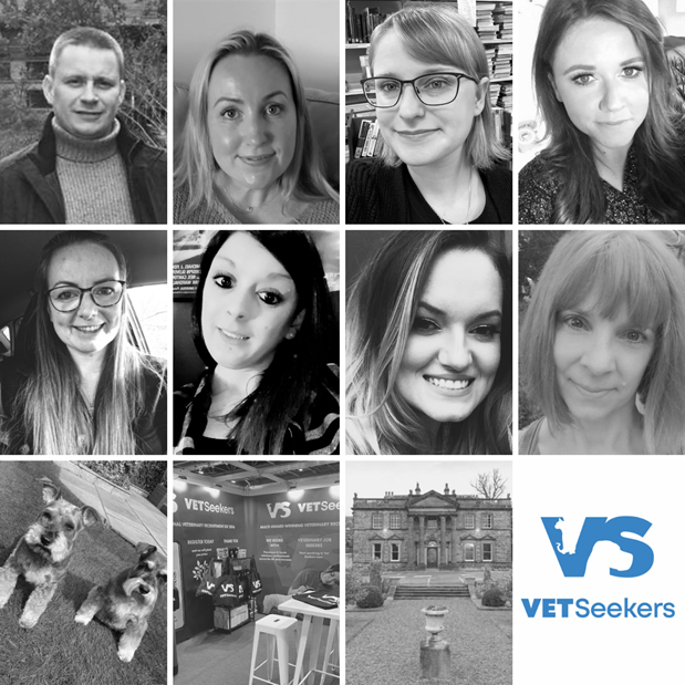 A specialist multi-award-winning veterinary recruitment business