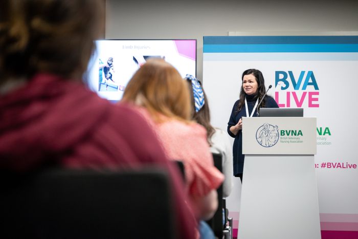 The BVNA Nursing Theatre Returns for BVA Live 2024