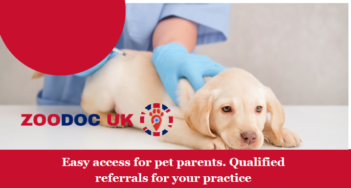 Something has shifted in how pet owners seek veterinary care.