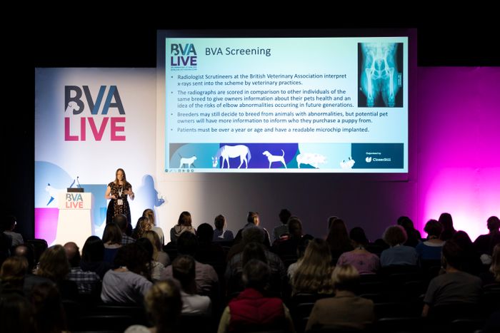 Don't Miss These Must-Attend Sessions at BVA Live 2025