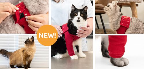 Medical Pet Shirts Introduces the New Protective Front Leg Single Sleeve for Cats